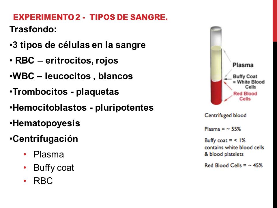 Experimento 2 - Tipos de sangre.