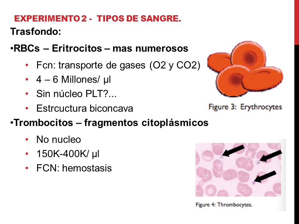 Experimento 2 - Tipos de sangre.