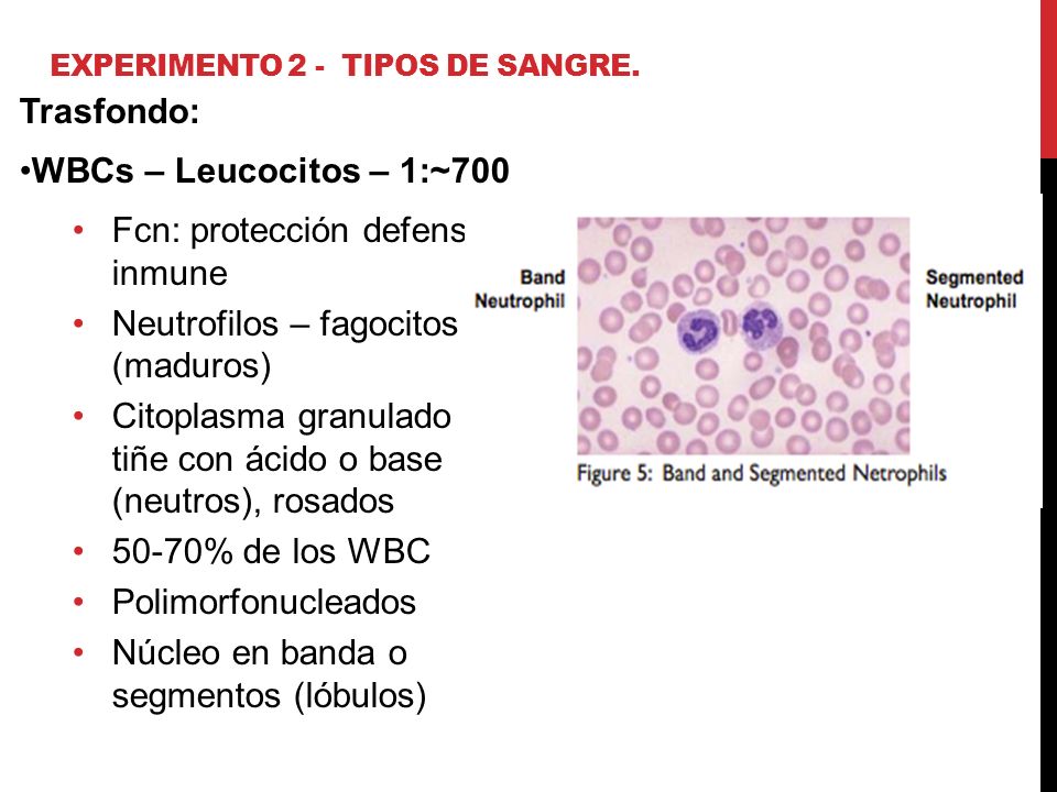 Experimento 2 - Tipos de sangre.
