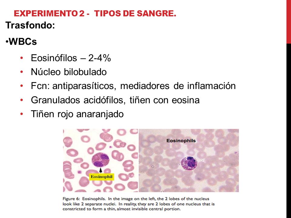 Experimento 2 - Tipos de sangre.
