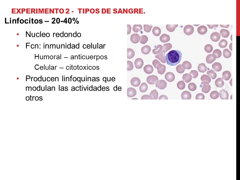 Experimento 2 - Tipos de sangre.