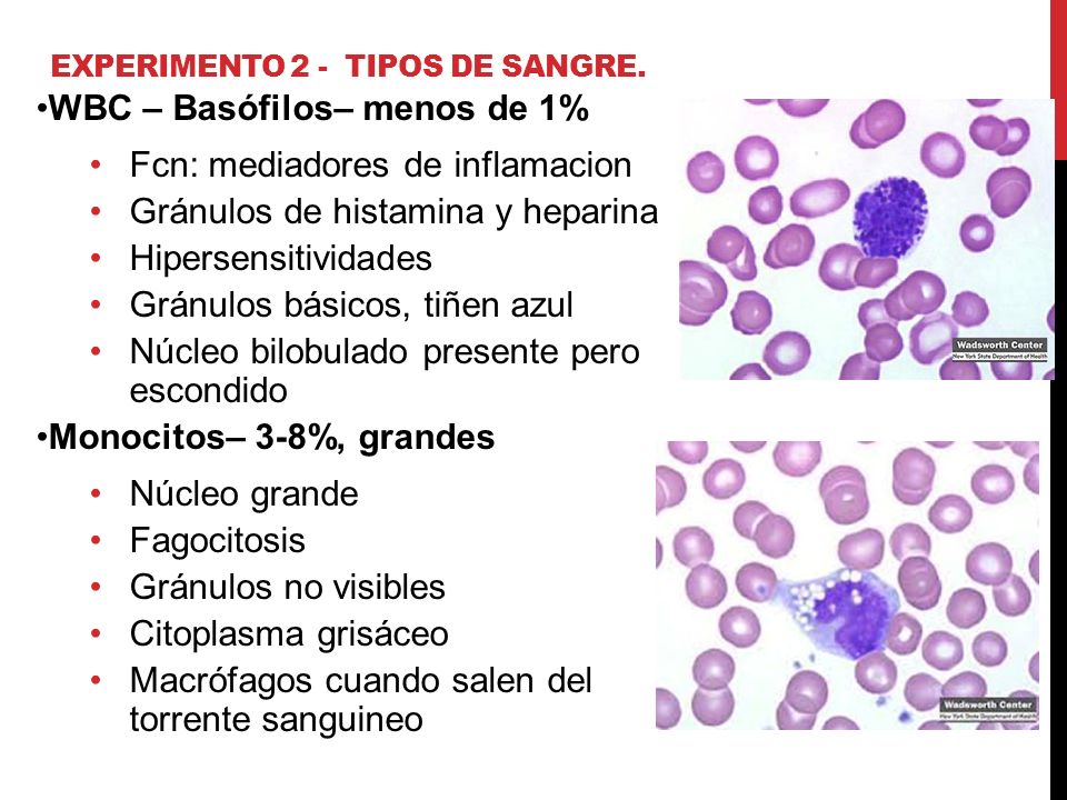 Experimento 2 - Tipos de sangre.