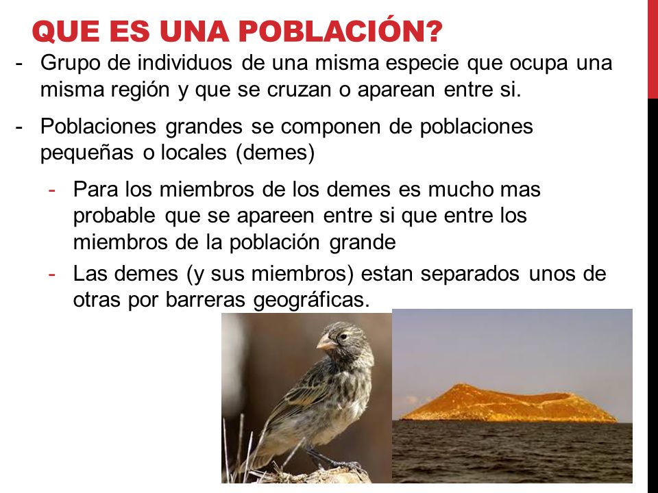 Que es una población Grupo de individuos de una misma especie que ocupa una misma región y que se cruzan o aparean entre si.