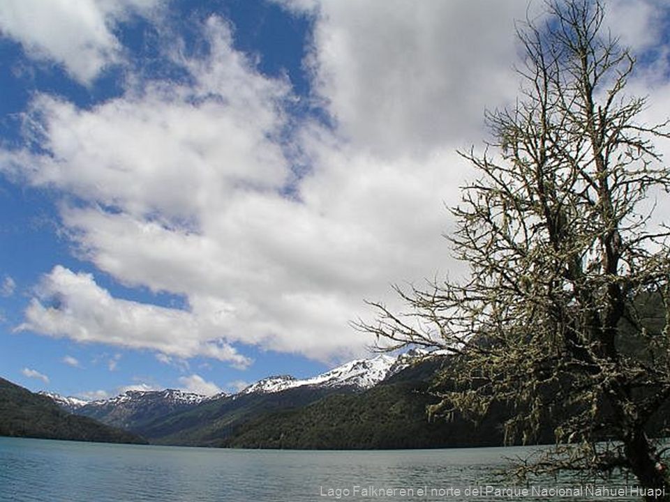 Lago Falkner en el norte del Parque Nacional Nahuel Huapi