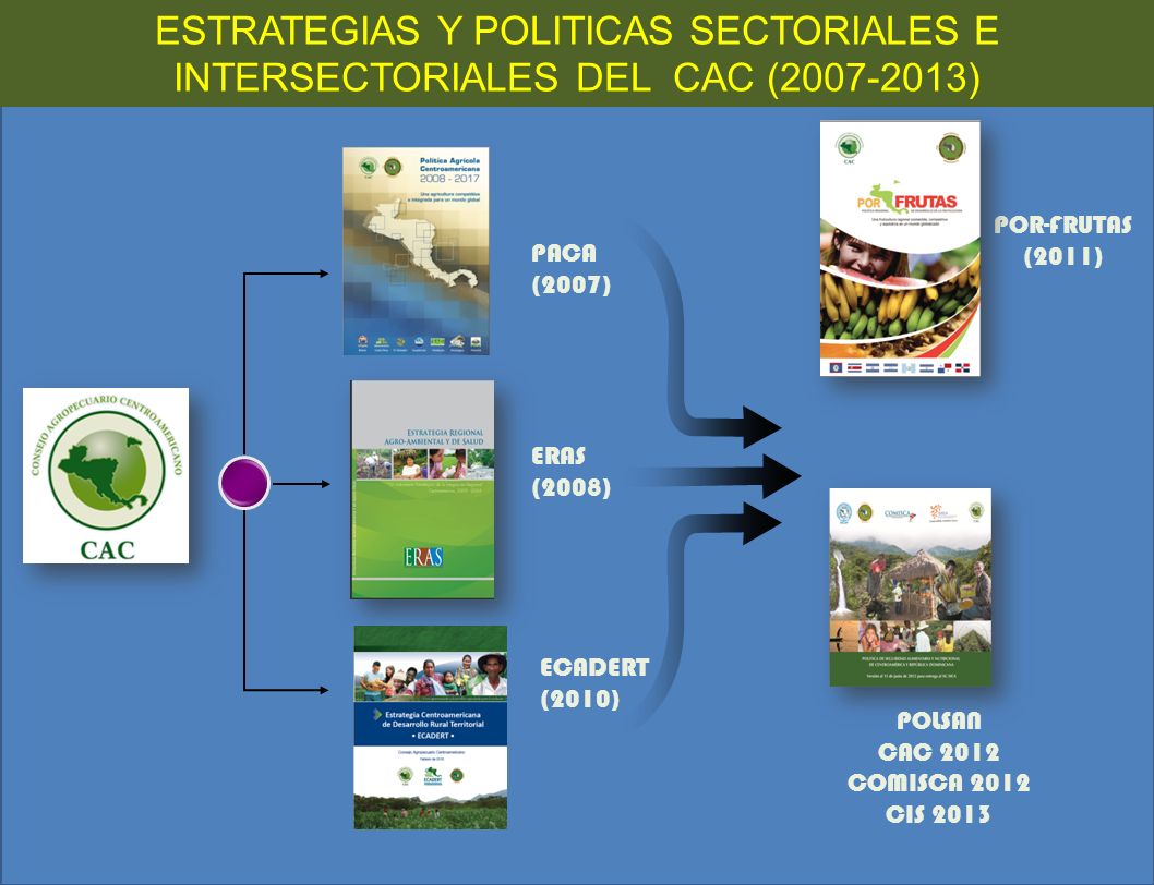 ESTRATEGIAS Y POLITICAS SECTORIALES E INTERSECTORIALES DEL CAC ( )
