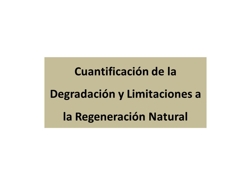 Cuantificación de la Degradación y Limitaciones a la Regeneración Natural