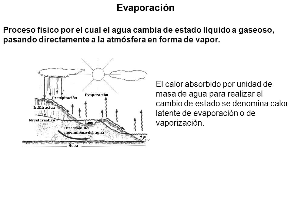 Evaporación Proceso físico por el cual el agua cambia de estado líquido a gaseoso, pasando directamente a la atmósfera en forma de vapor.