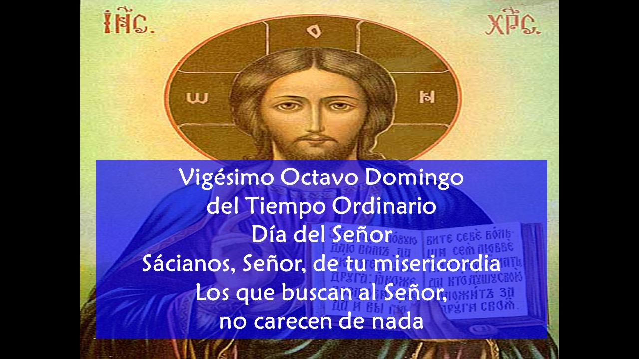 Vigésimo Octavo Domingo Sácianos, Señor, de tu misericordia