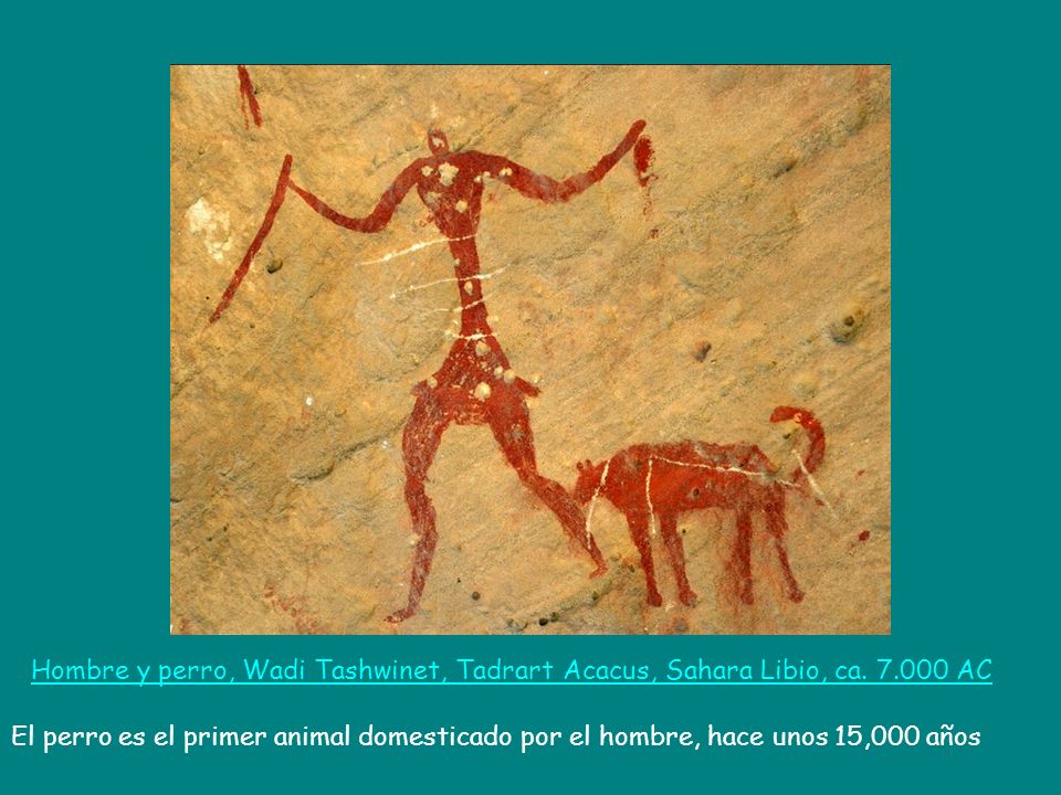 Hombre y perro, Wadi Tashwinet, Tadrart Acacus, Sahara Libio, ca. 7