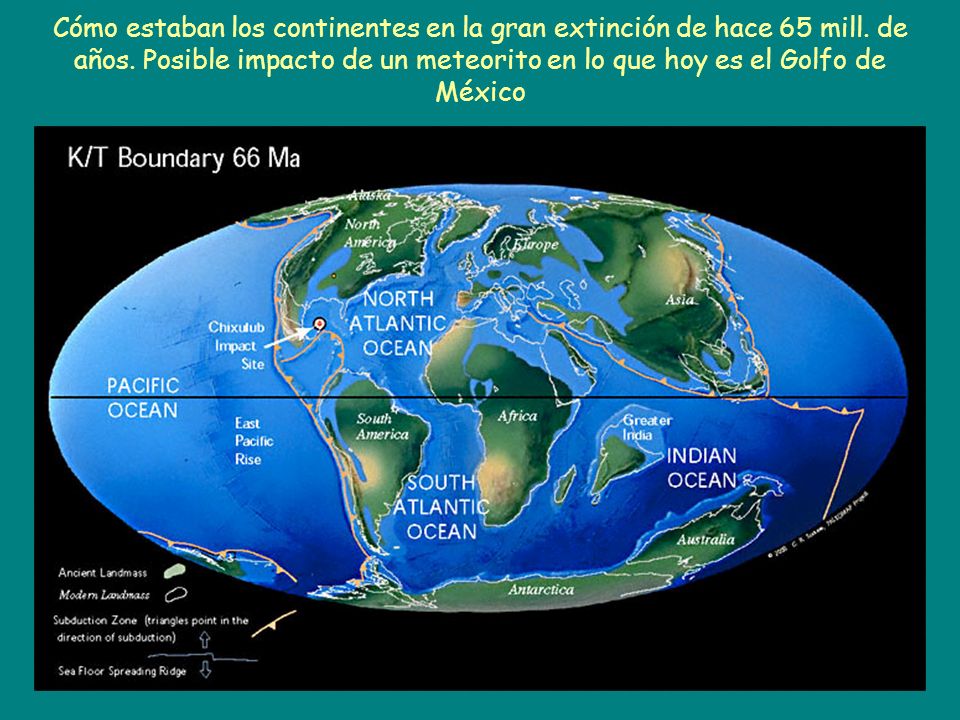 Cómo estaban los continentes en la gran extinción de hace 65 mill