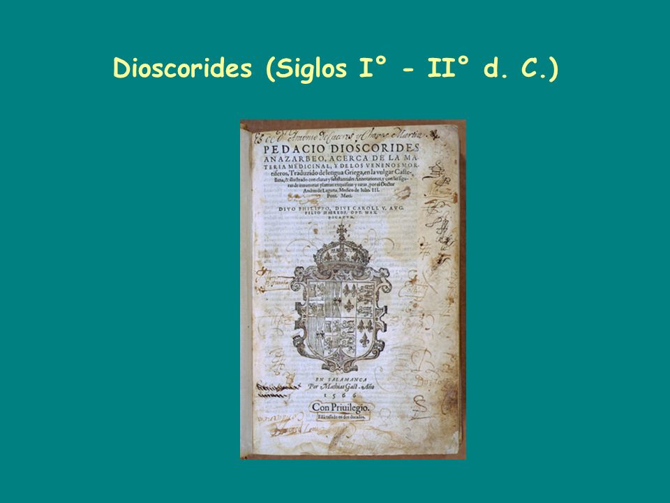 Dioscorides (Siglos I° - II° d. C.)