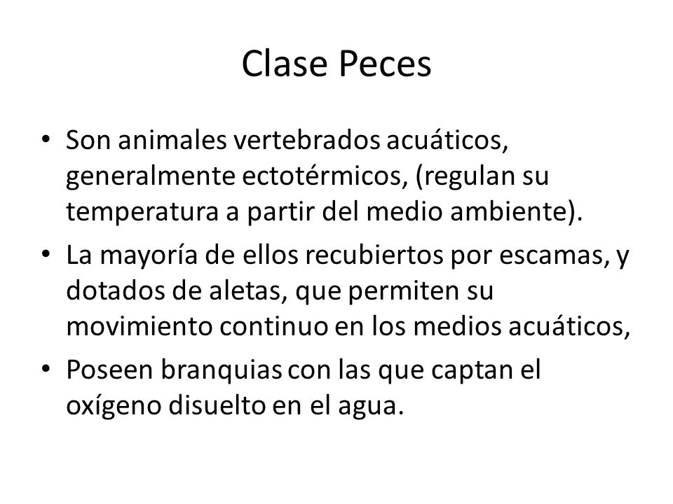 Clase Peces Son animales vertebrados acuáticos, generalmente ectotérmicos, (regulan su temperatura a partir del medio ambiente).
