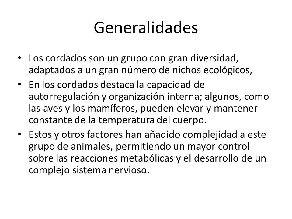 Generalidades Los cordados son un grupo con gran diversidad, adaptados a un gran número de nichos ecológicos,