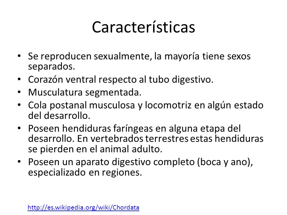 Características Se reproducen sexualmente, la mayoría tiene sexos separados. Corazón ventral respecto al tubo digestivo.