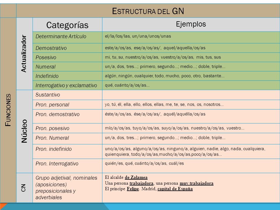 Estructura del GN Categorías Ejemplos Funciones Núcleo Actualizador CN