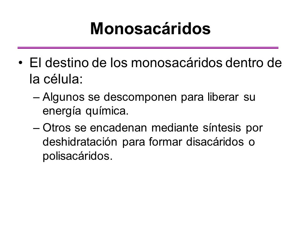 Monosacáridos El destino de los monosacáridos dentro de la célula: