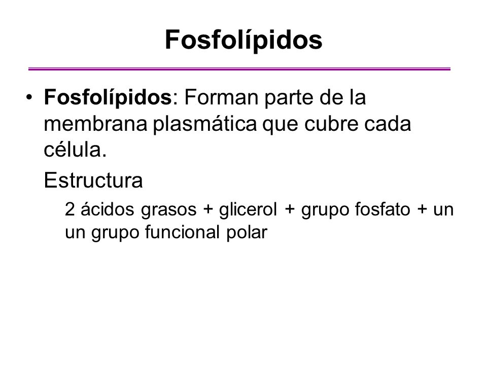 Fosfolípidos Fosfolípidos: Forman parte de la membrana plasmática que cubre cada célula. Estructura.