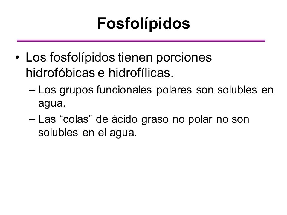Fosfolípidos Los fosfolípidos tienen porciones hidrofóbicas e hidrofílicas. Los grupos funcionales polares son solubles en agua.