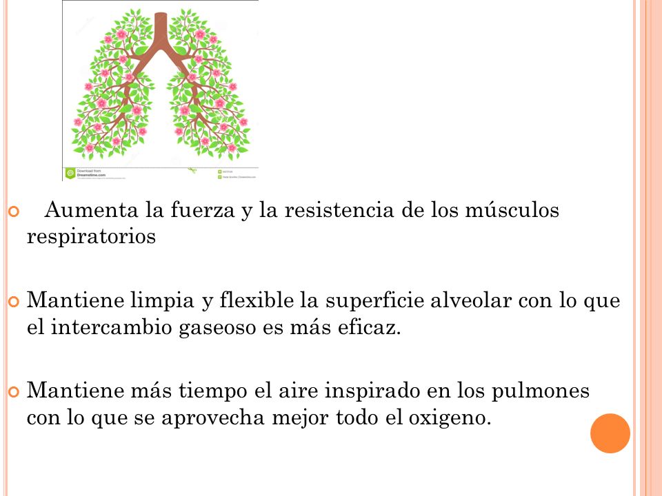 Aumenta la fuerza y la resistencia de los músculos respiratorios