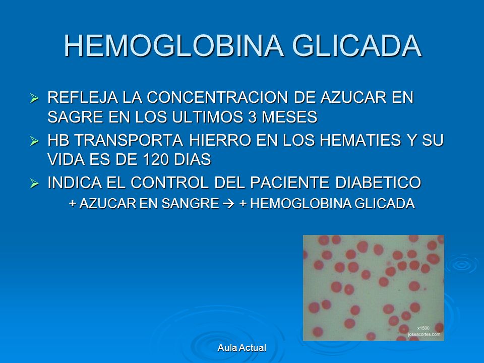 HEMOGLOBINA GLICADA REFLEJA LA CONCENTRACION DE AZUCAR EN SAGRE EN LOS ULTIMOS 3 MESES.