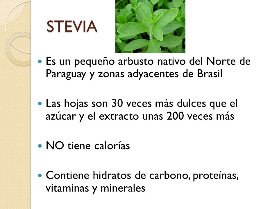 STEVIA Es un pequeño arbusto nativo del Norte de Paraguay y zonas adyacentes de Brasil.