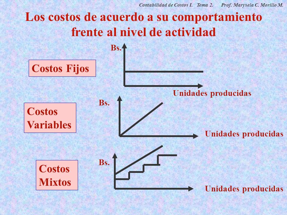 Los costos de acuerdo a su comportamiento frente al nivel de actividad