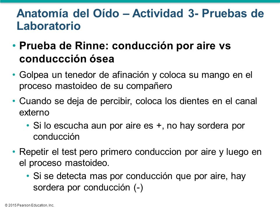 Anatomía del Oído – Actividad 3- Pruebas de Laboratorio