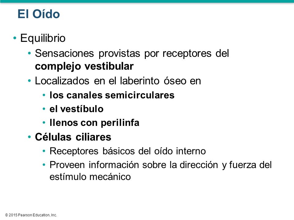 El Oído Equilibrio. Sensaciones provistas por receptores del complejo vestibular. Localizados en el laberinto óseo en.