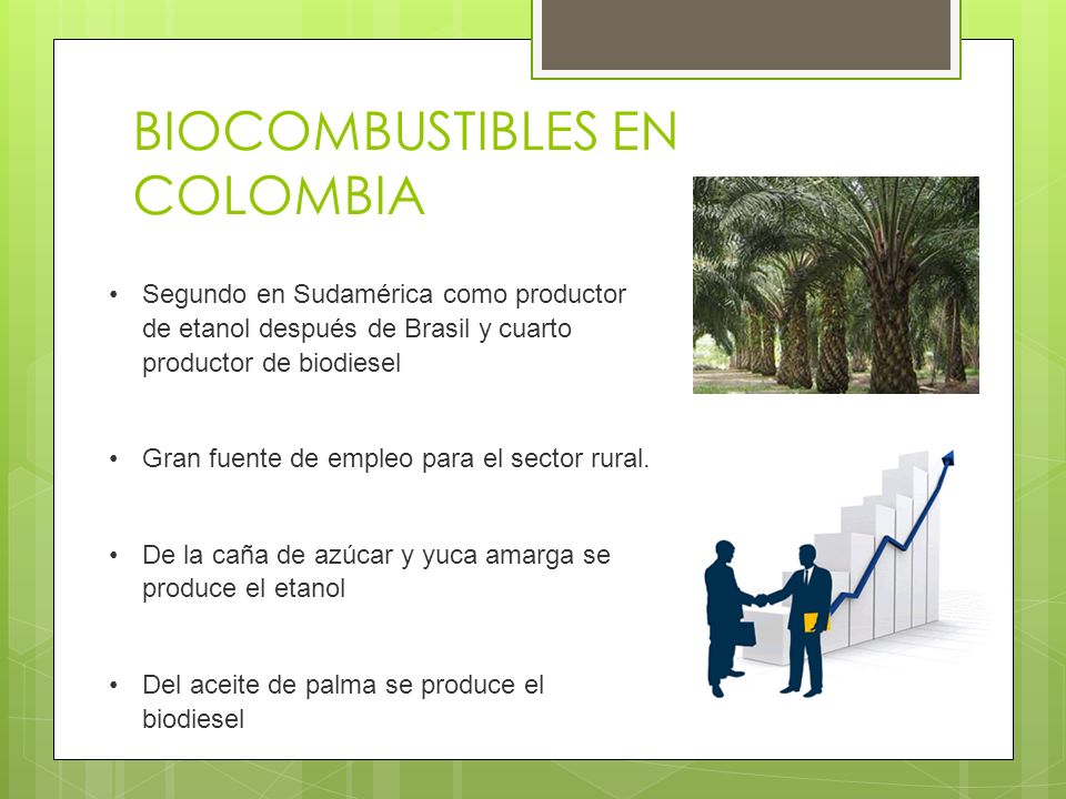 BIOCOMBUSTIBLES EN COLOMBIA