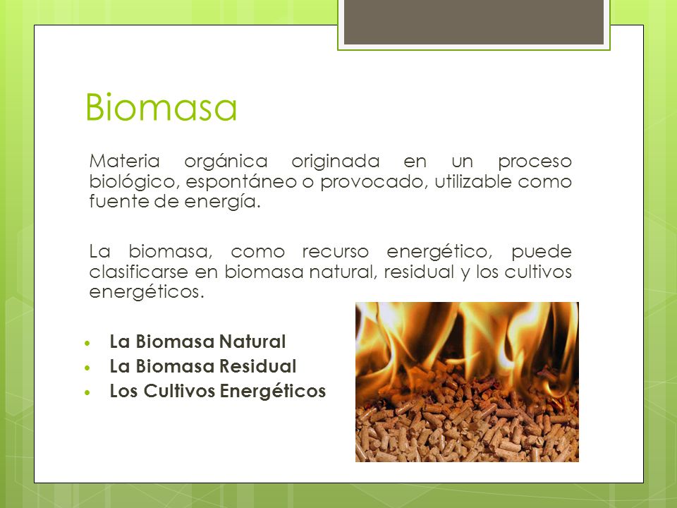 Biomasa Materia orgánica originada en un proceso biológico, espontáneo o provocado, utilizable como fuente de energía.