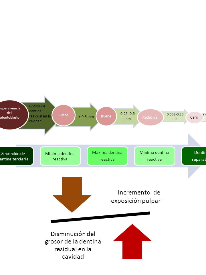 Disminución del grosor de la dentina residual en la cavidad