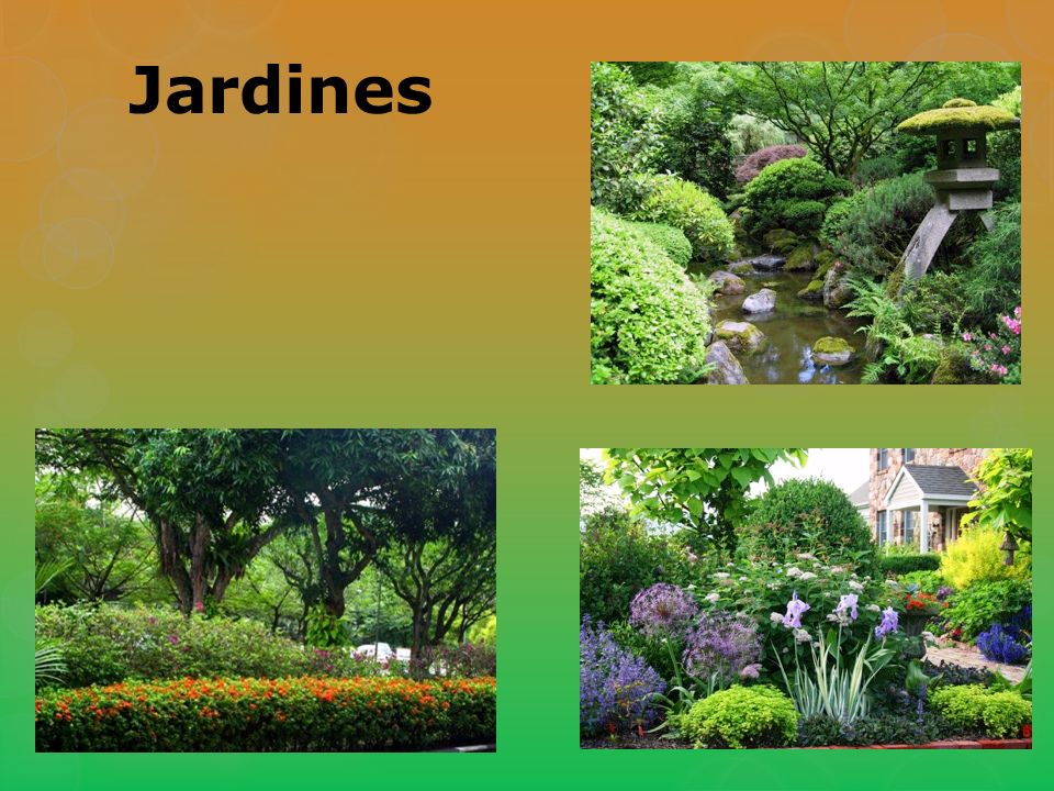 Jardines También puede agregar jardines a su patio para aumentar la belleza y diversidad de aves.