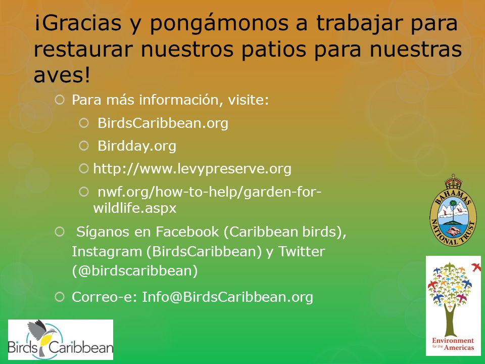 ¡Gracias y pongámonos a trabajar para restaurar nuestros patios para nuestras aves!