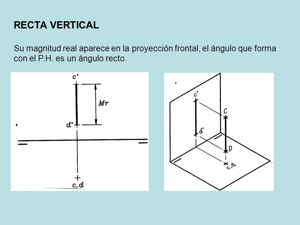 RECTA VERTICAL Su magnitud real aparece en la proyección frontal, el ángulo que forma con el P.H.