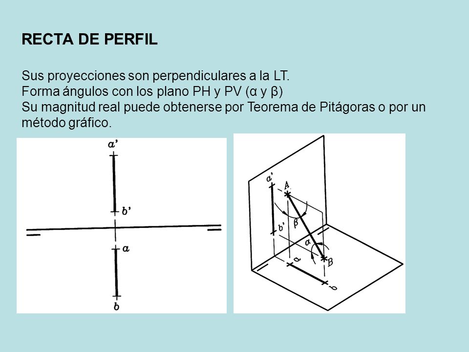 RECTA DE PERFIL Sus proyecciones son perpendiculares a la LT.