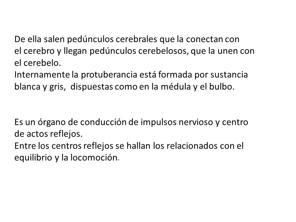 De ella salen pedúnculos cerebrales que la conectan con el cerebro y llegan pedúnculos cerebelosos, que la unen con el cerebelo. Internamente la protuberancia está formada por sustancia blanca y gris, dispuestas como en la médula y el bulbo.
