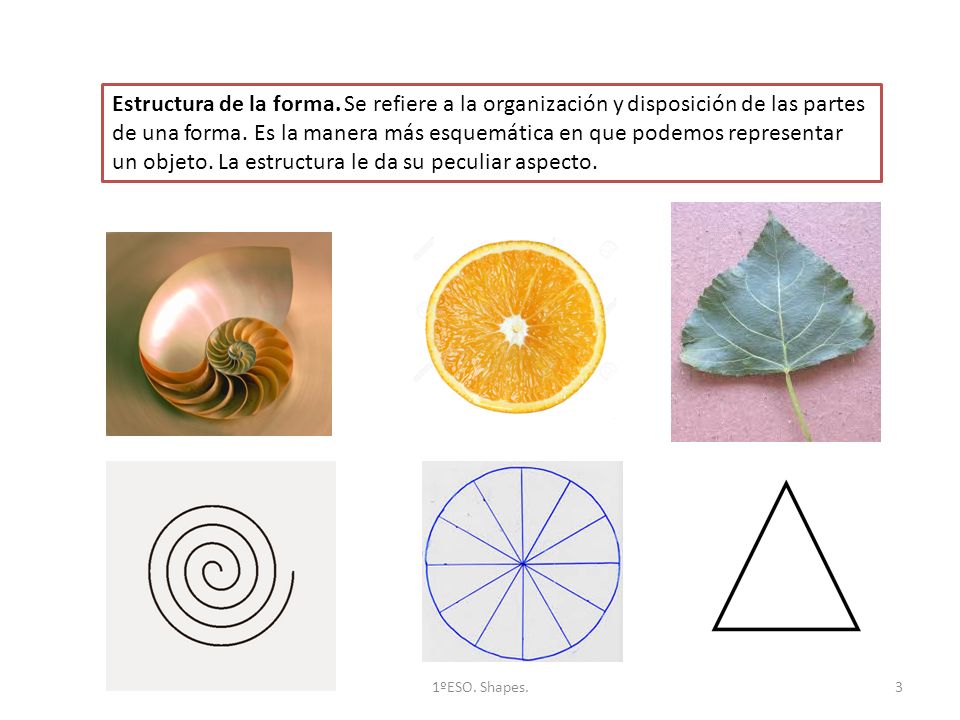 Estructura de la forma. Se refiere a la organización y disposición de las partes de una forma. Es la manera más esquemática en que podemos representar un objeto. La estructura le da su peculiar aspecto.