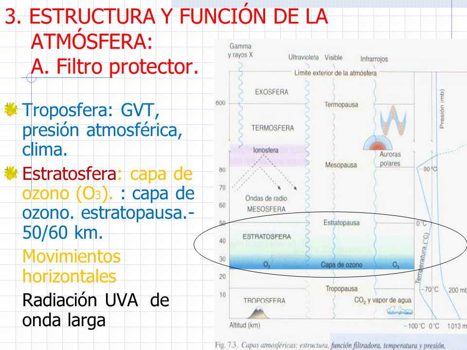 3. ESTRUCTURA Y FUNCIÓN DE LA ATMÓSFERA: A. Filtro protector.