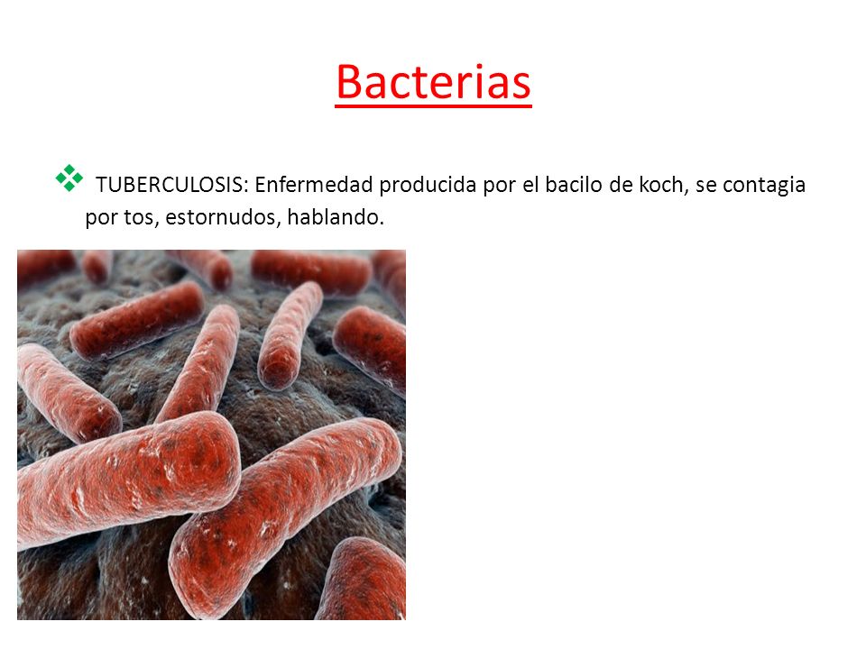 Bacterias TUBERCULOSIS: Enfermedad producida por el bacilo de koch, se contagia por tos, estornudos, hablando.