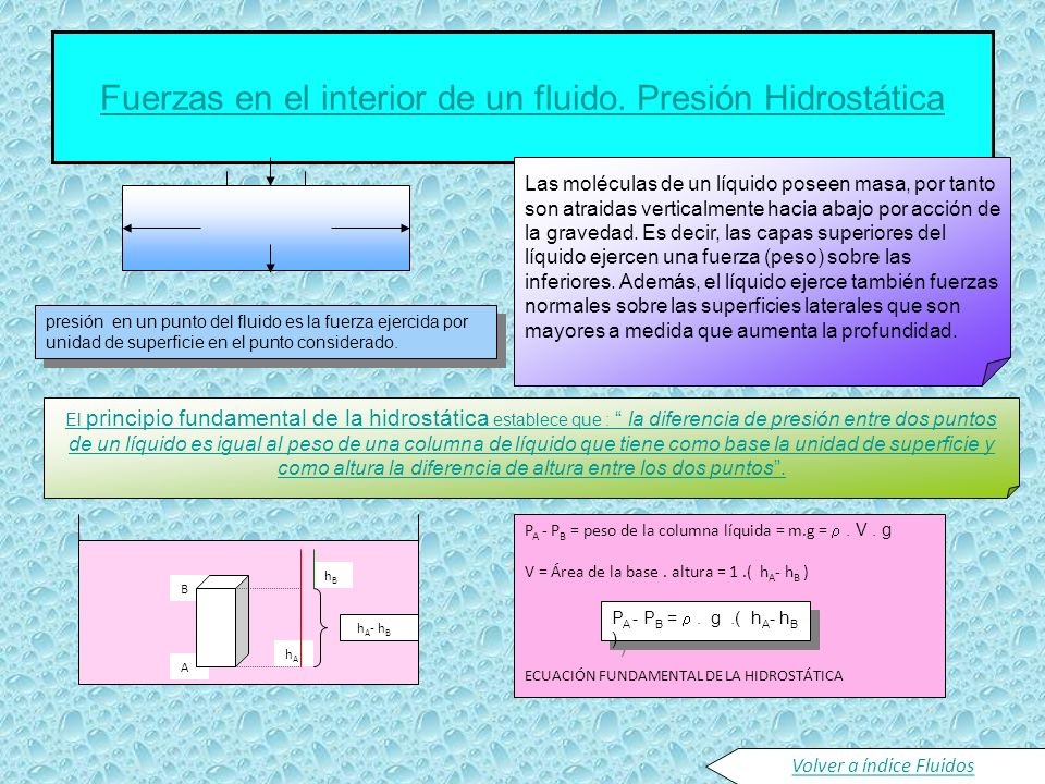 Fuerzas en el interior de un fluido. Presión Hidrostática