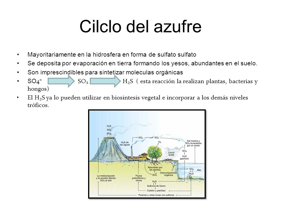 Cilclo del azufre Mayoritariamente en la hidrosfera en forma de sulfato sulfato.