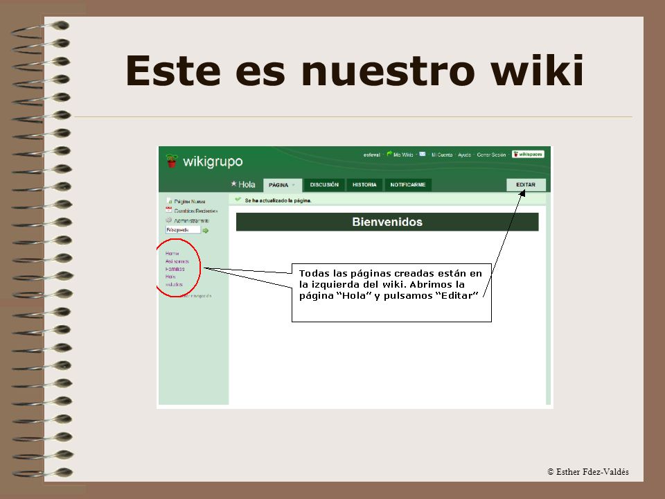 Este es nuestro wiki © Esther Fdez-Valdés