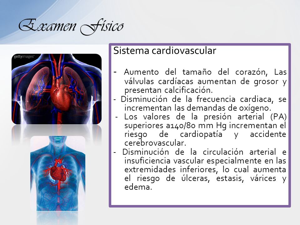 Examen Físico Sistema cardiovascular. - Aumento del tamaño del corazón, Las válvulas cardíacas aumentan de grosor y presentan calcificación.