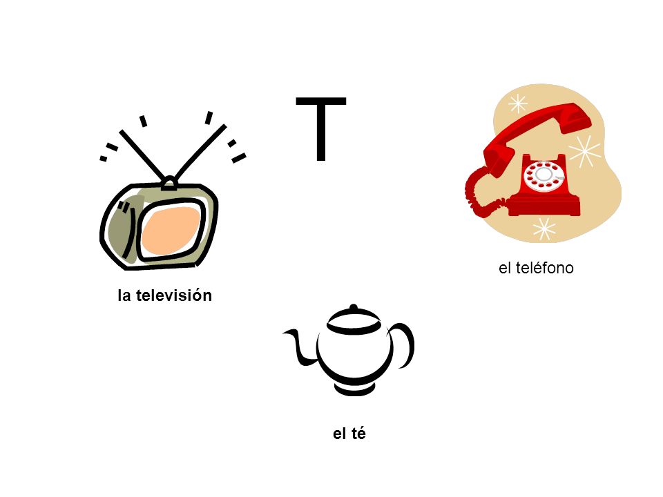 T el teléfono la televisión el té