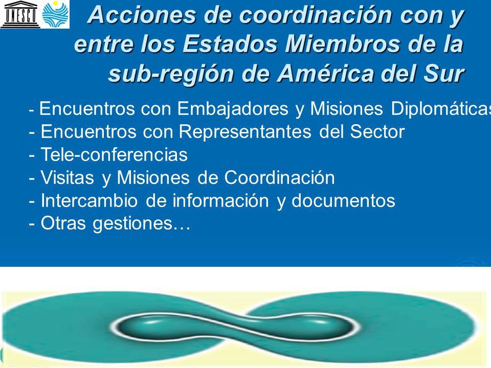 Acciones de coordinación con y entre los Estados Miembros de la sub-región de América del Sur