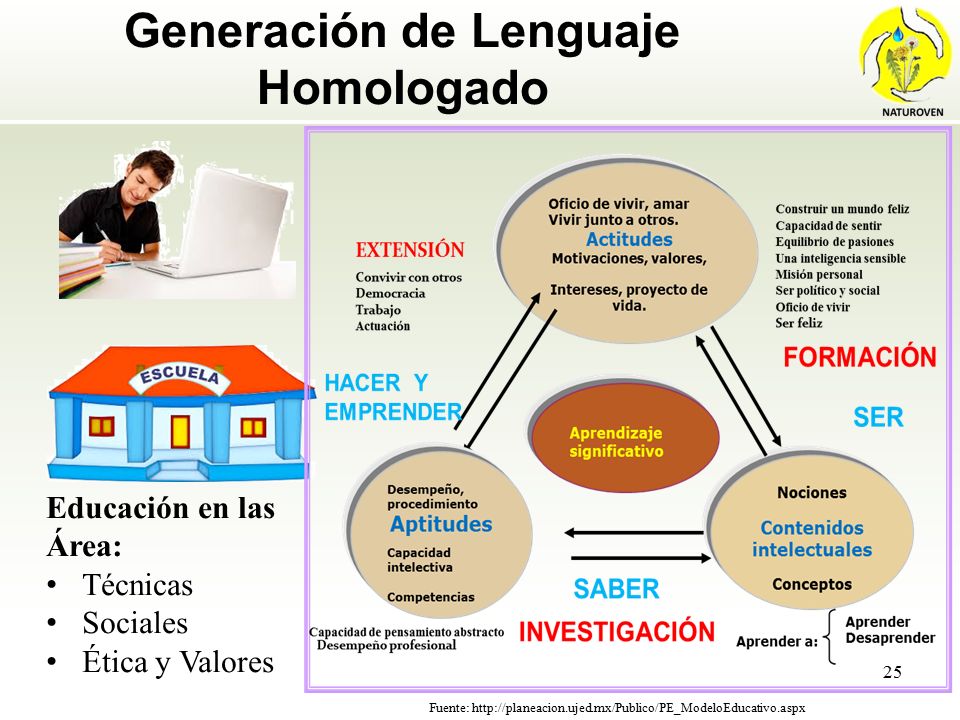 Generación de Lenguaje Homologado