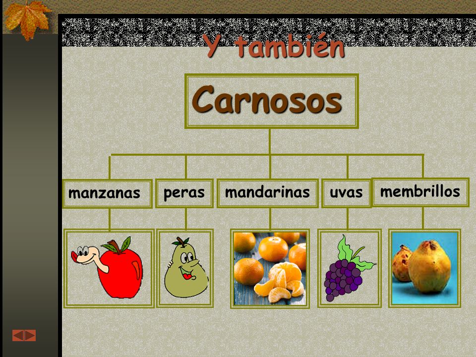 Y también Carnosos manzanas peras mandarinas uvas membrillos