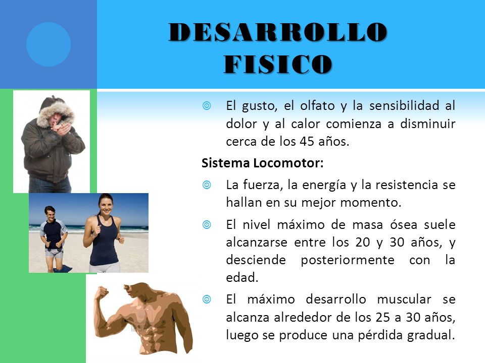 DESARROLLO FISICO El gusto, el olfato y la sensibilidad al dolor y al calor comienza a disminuir cerca de los 45 años.