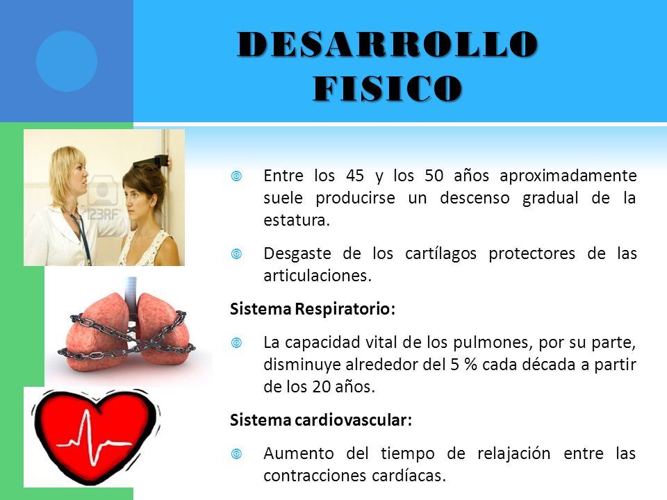 DESARROLLO FISICO Entre los 45 y los 50 años aproximadamente suele producirse un descenso gradual de la estatura.