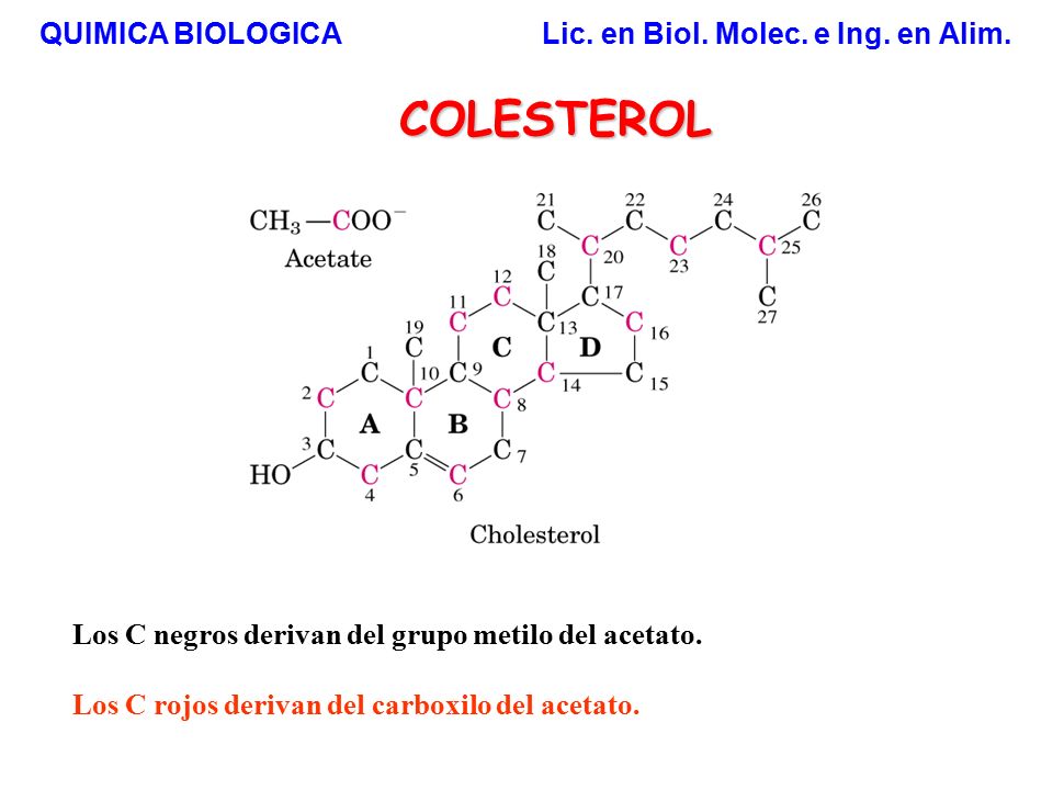 COLESTEROL QUIMICA BIOLOGICA Lic. en Biol. Molec. e Ing. en Alim.
